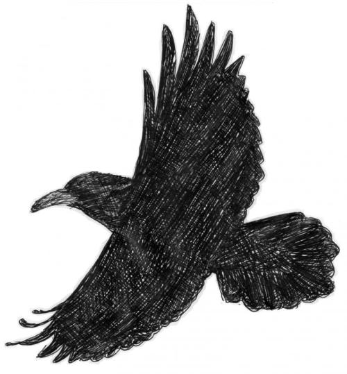 Couverture de « L'ombre du corbeau »