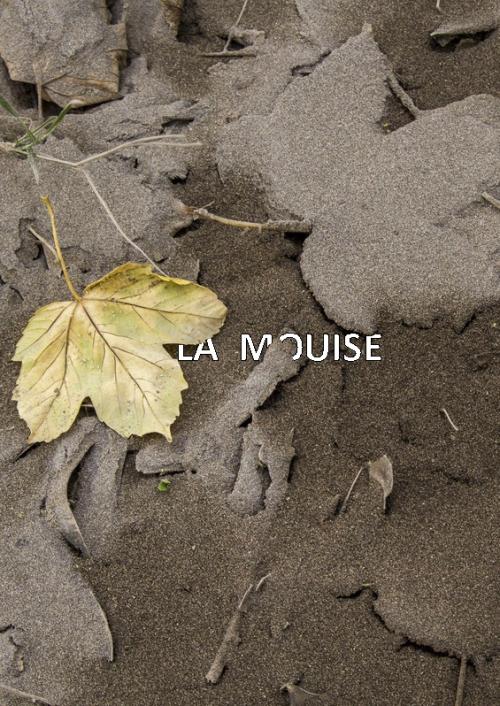 La mouise