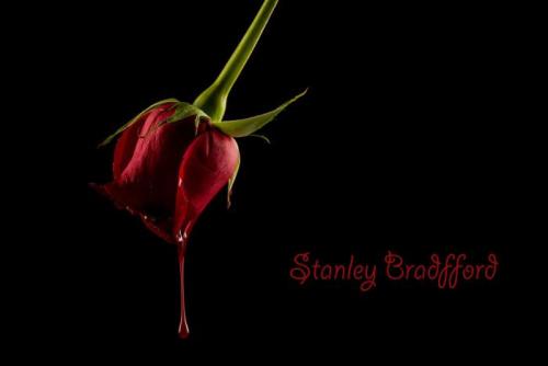 Couverture de « Stanley Bradfford »