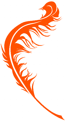 Couverture de « Les Plumes du Phœnix »