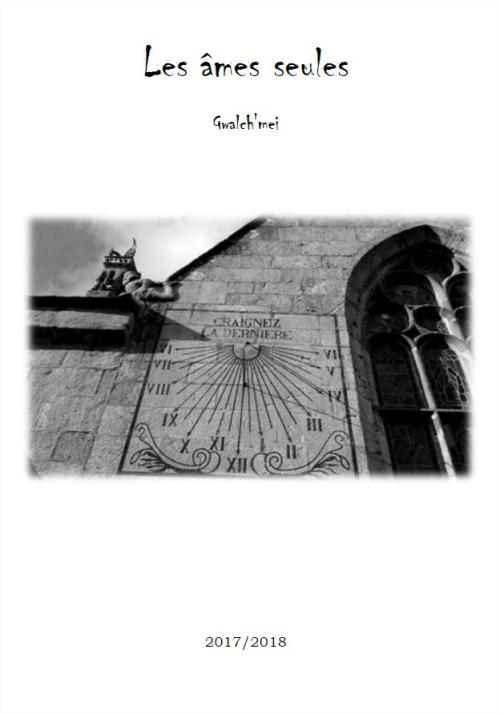 Couverture de « Les âmes seules »
