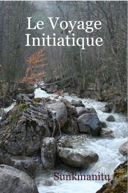 Couverture de « Le voyage initiatique »