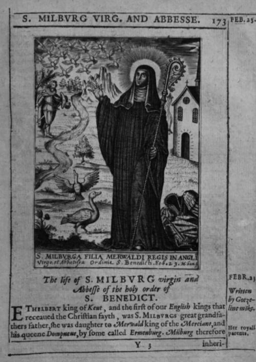 Couverture de « L'Appel de la Sainte »
