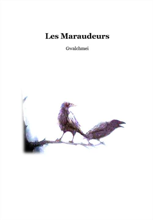 Couverture de « Les Maraudeurs »