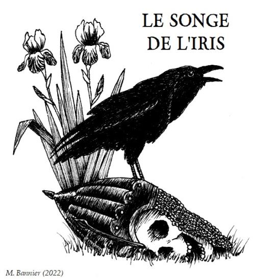 Couverture de « Le Songe de l'Iris »