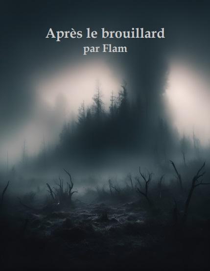 Couverture de « Après le brouillard »