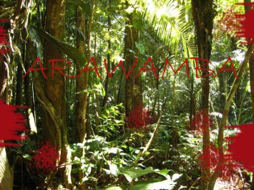 Couverture de « Arawamba »
