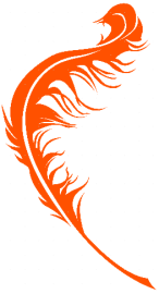 Couverture de « Les Plumes du Phœnix »