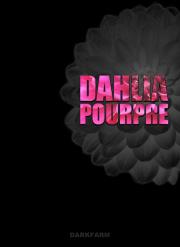 Dahlia Pourpre