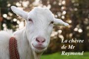 Couverture de « La chèvre de Mr Raymond »