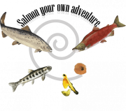 Couverture de « Salmon your own adventure »