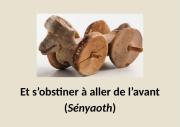 Couverture de « Et s'obstiner à aller de l'avant (Sényaoth) »