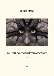 Couverture de « Le gris mage »